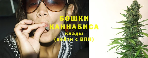 прущий лед Ельня