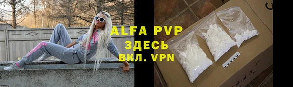 дмт Елизово