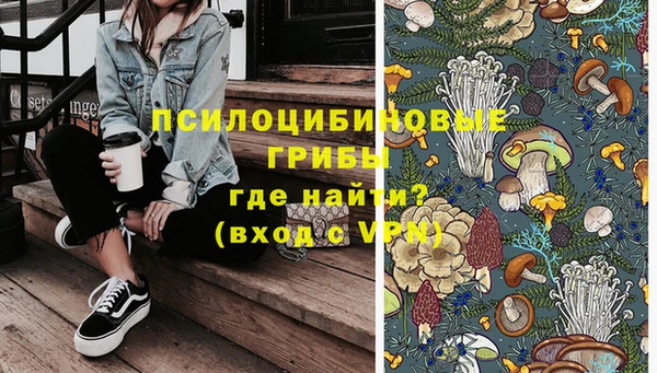 дмт Елизово