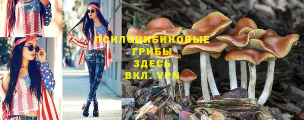 дмт Елизово