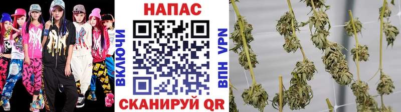 Бошки Шишки Amnesia  Ногинск 